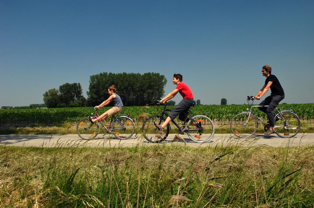 Het Godshuis Hotel Sint-Laureins Luaran gambar