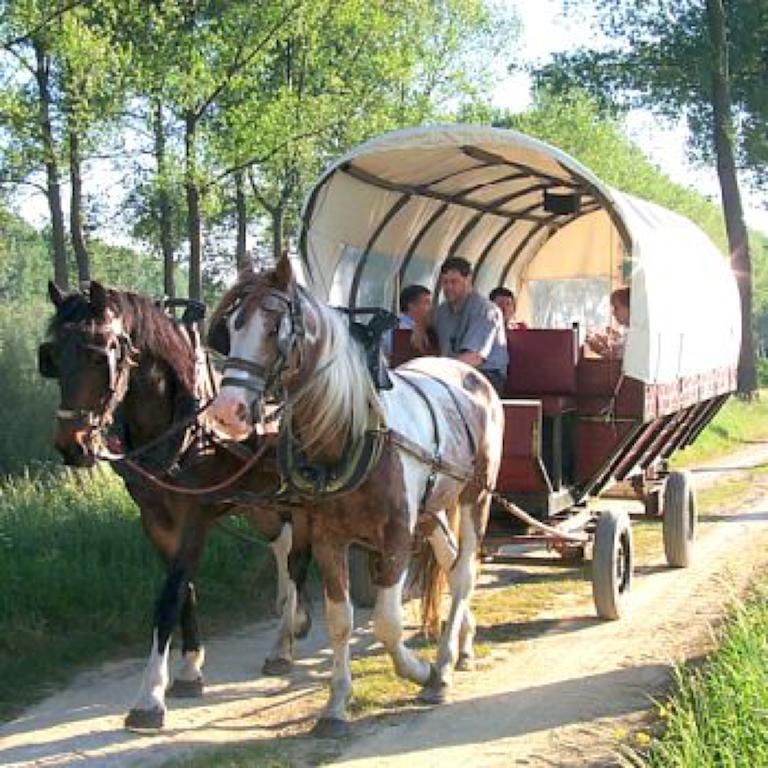 Het Godshuis Hotel Sint-Laureins Luaran gambar